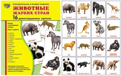 Демонстрационные картинки "Животные жарких стран"