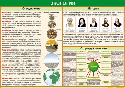 Таблица "Определения и история" 100x140см (винил)