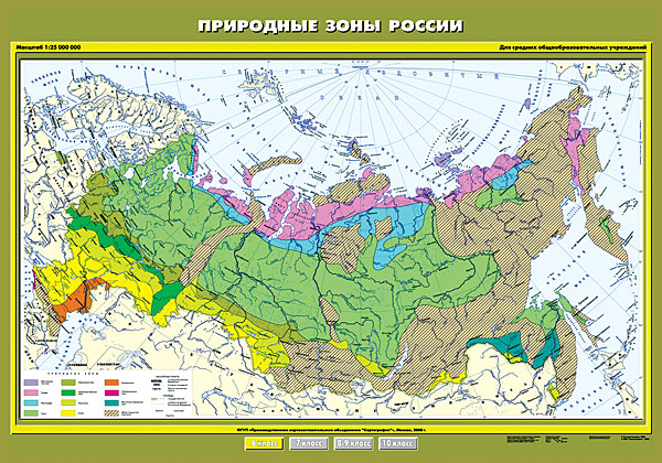 Карта "Природные зоны России" 6 кл.