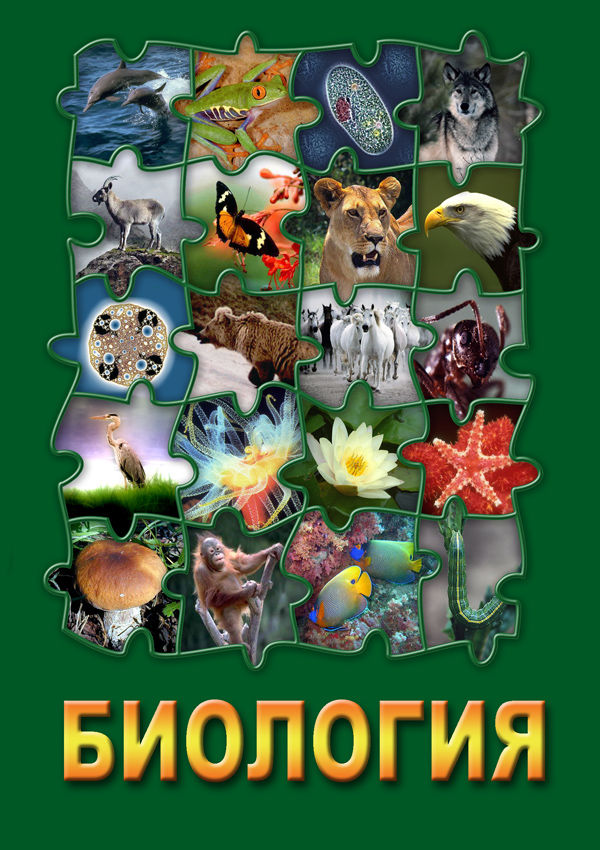 Учебный фильм "Биология - 2" (DVD-диск)