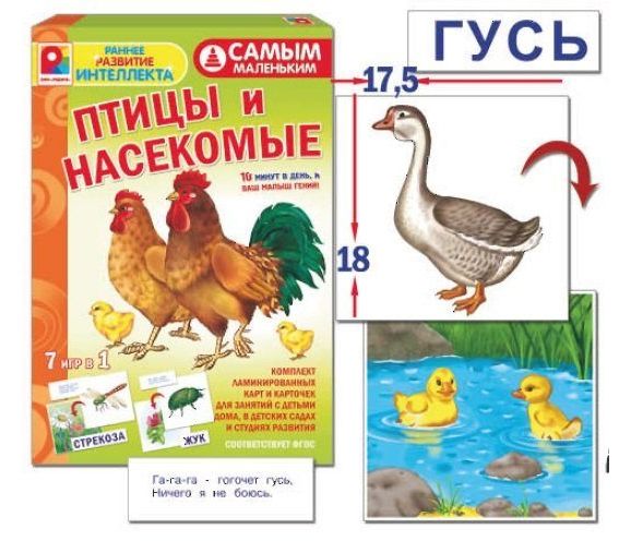 Развивающая игра "Птицы и насекомые"