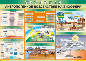 Таблица "Антропогенное воздействие на биосферу", 45x60см
