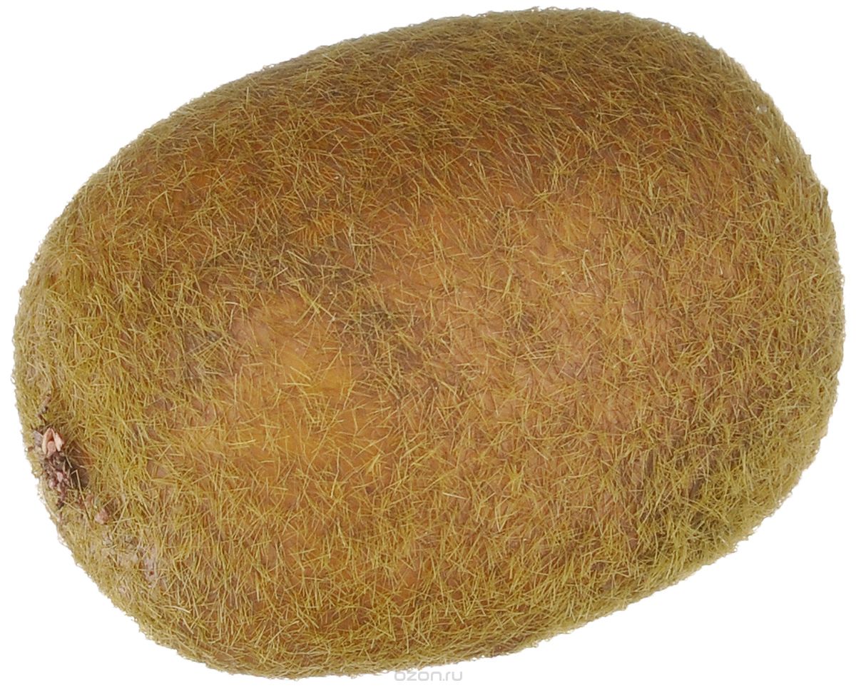 Муляж "Киви"