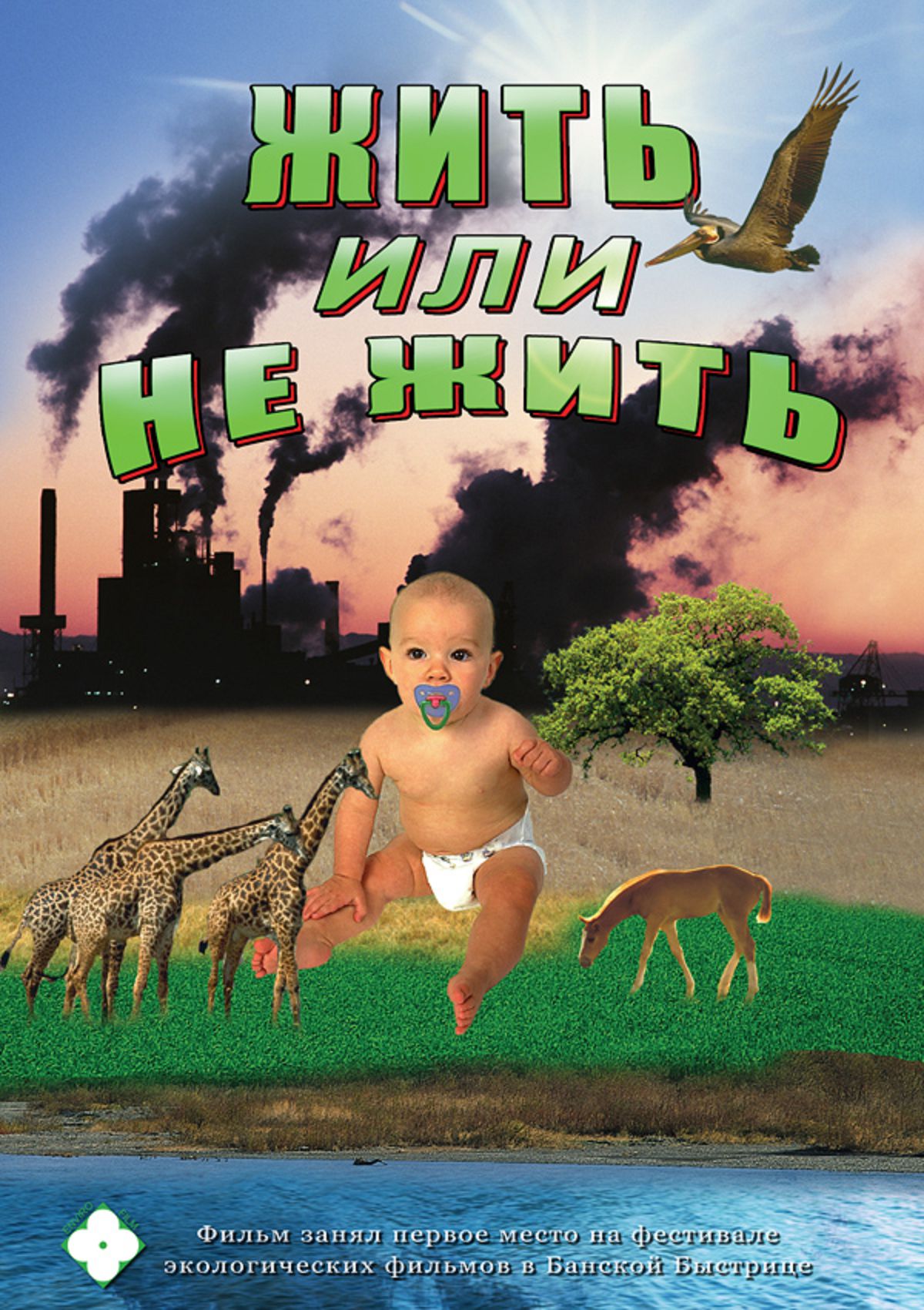 Учебный фильм "Жить или не жить… (рус., англ.)" (DVD-диск)