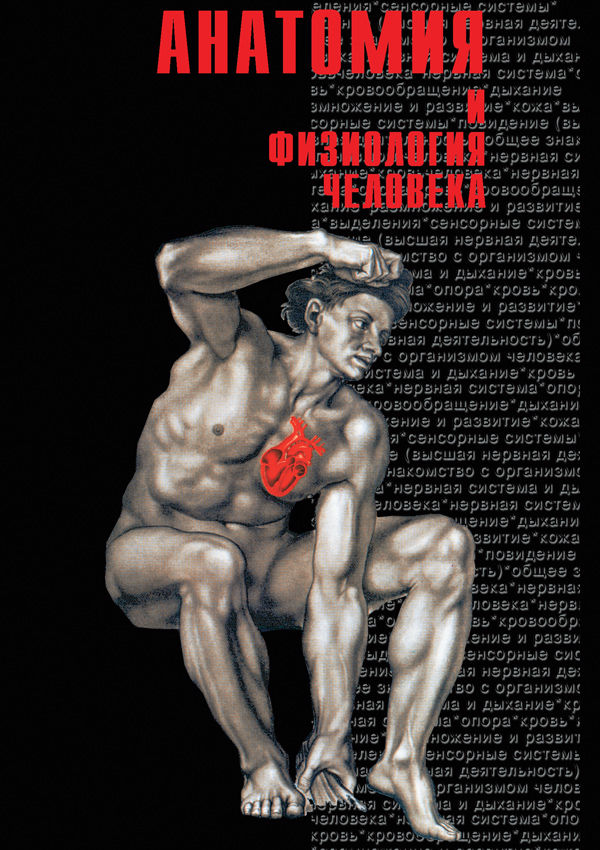 Учебный фильм "Анатомия - 2" (DVD-диск)