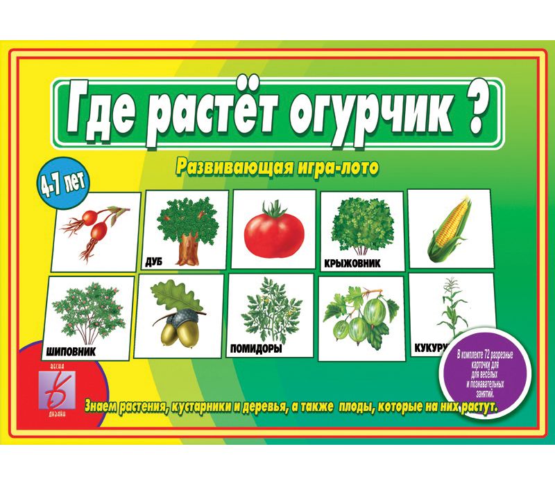 Игра ГДЕ РАСТЕТ ОГУРЧИК?