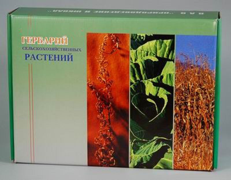 Гербарий "Сельскохозяйственные растения" (28 видов)