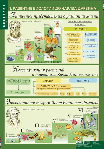 Комплект таблиц "Биология 10-11 классы. Эволюционное учение" (10 таблиц)