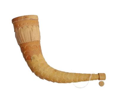 Рожок (ДИ)