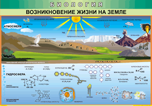 Таблица "Возникновение жизни на земле" 100x140см (винил)
