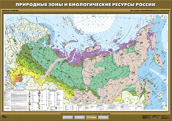 Карта "Природные зоны и биологические ресурсы России" 8-9 кл.