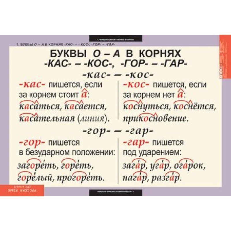 Таблицы. Русский язык 6 класс