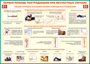 Таблица "Общий порядок оказания первой помощи пострадавшим" 70x100см