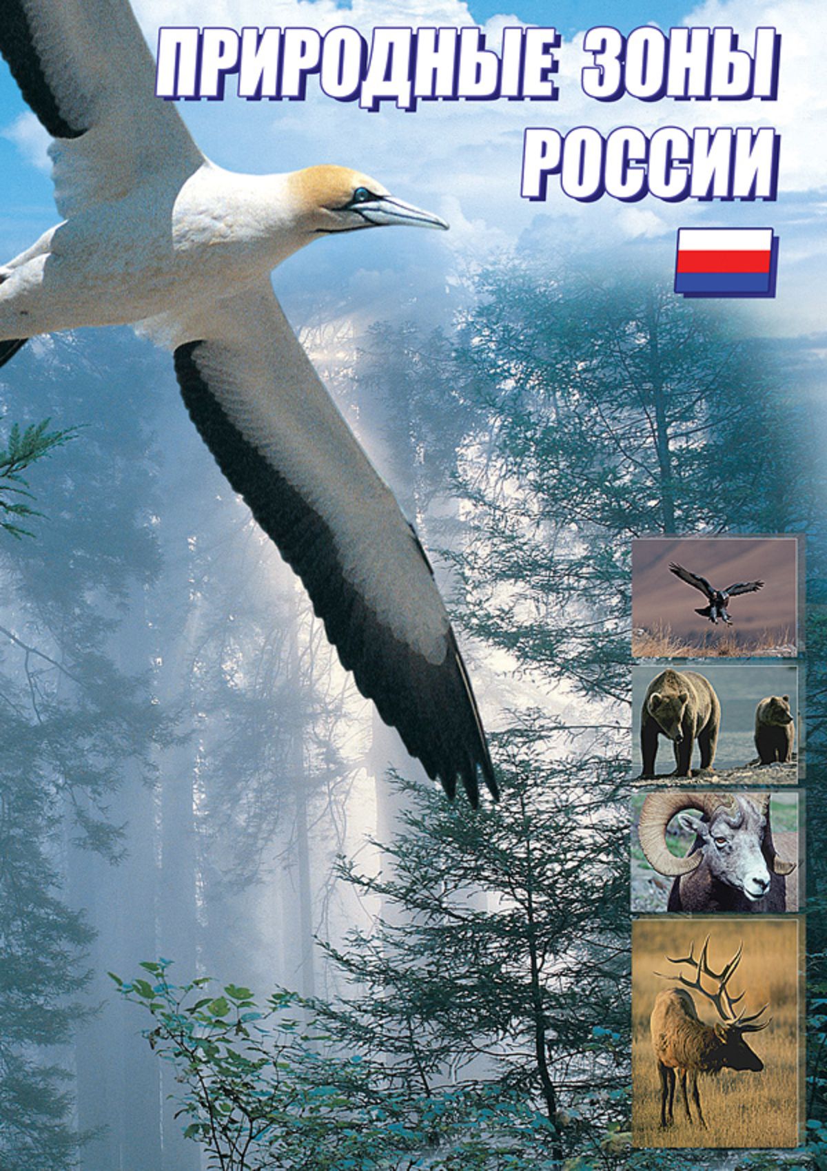 Учебный фильм "Природные зоны России" (DVD-диск)