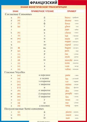 Таблица. Знаки фонетической транскрипции Французский язык 70x100см