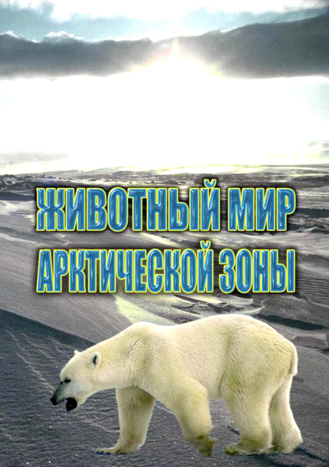 Учебный фильм "Животный мир Арктической зоны" (DVD-диск)