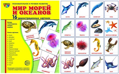 Демонстрационные картинки "Мир морей и океанов"