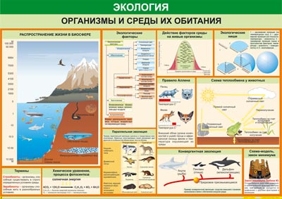 Таблица "Организмы и среды их обитания" 100x140см (винил)