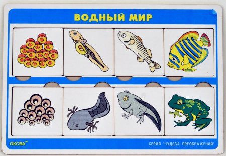 Чудеса преображений "Водный мир"