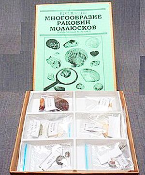 Коллекция "Многообразие раковин моллюсков"