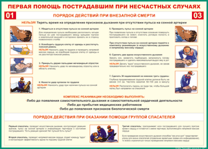 Таблица "Порядок действий при внезапной смерти" 70x100см