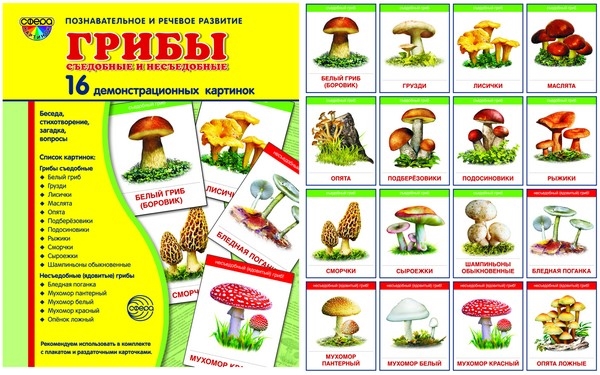 Демонстрационные картинки "Грибы съедобные и несъедобные"