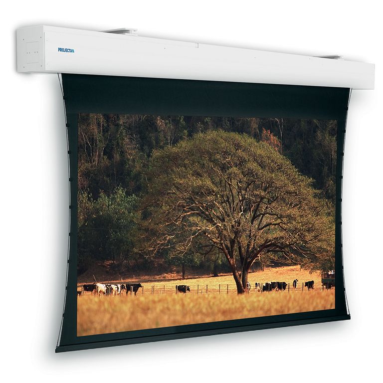 Экран с электроприводом настенно-потолочный Projecta Tensioned Elpro Large Electrol, 176" 16:9 HD Progressive 1.1, 219x390 см. дроп 30 см., длина корпуса 443 см.
