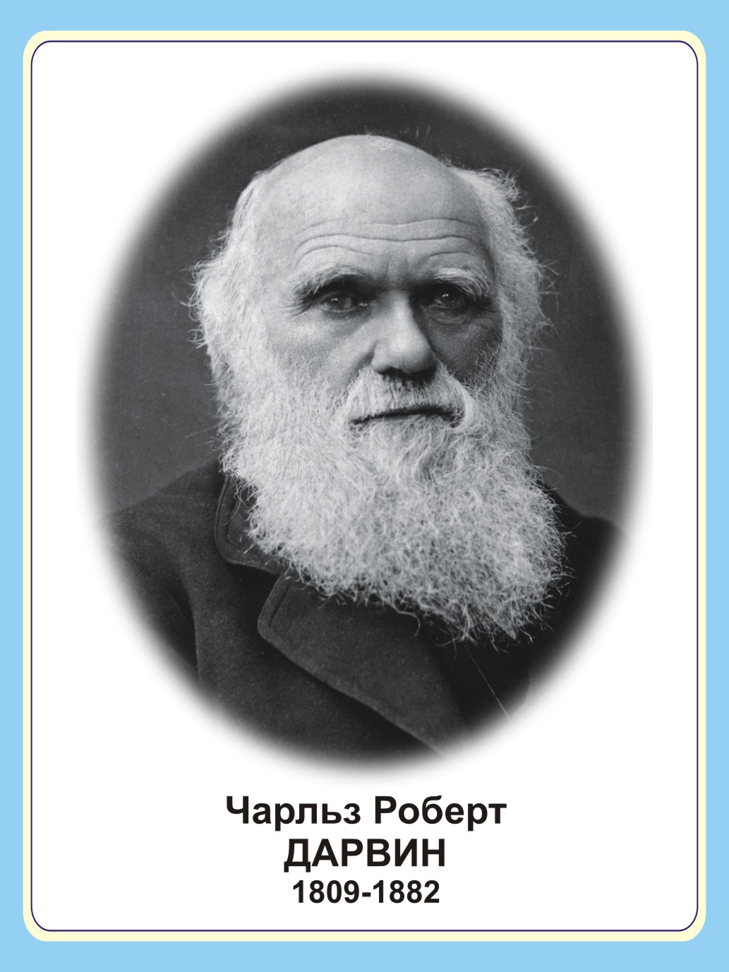 Стенд портрет "Чарльз Роберт Дарвин"