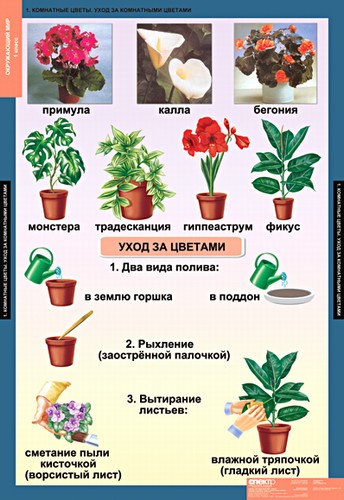 Таблица "Окружающий мир" 1 кл.