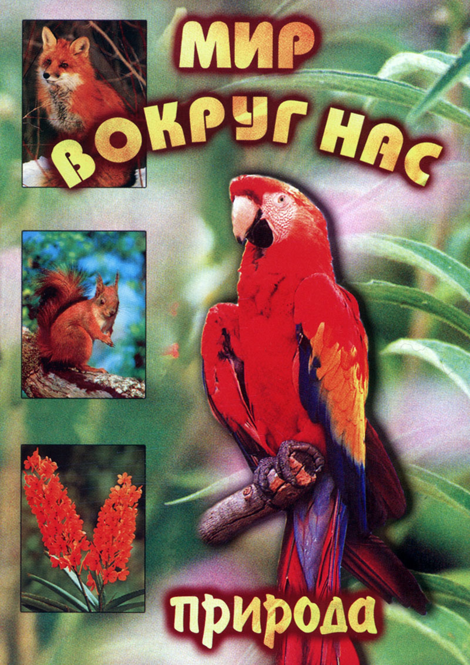 Учебный фильм "Мир вокруг нас. Природа (для 1 класса)" (DVD-диск)