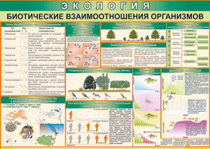 Таблица "Биотические взаимоотношения организмов", 100x140см