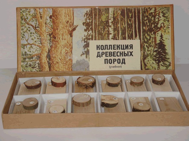 Коллекция "Древесные породы"