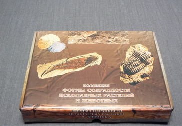 Коллекция "Формы сохранности ископаемых растений и животных"