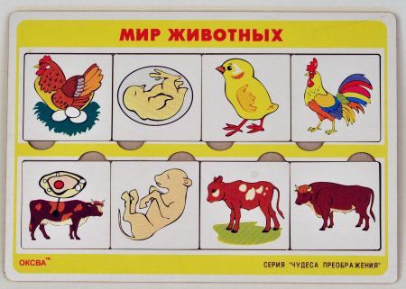 Чудеса преображений "Мир животных"