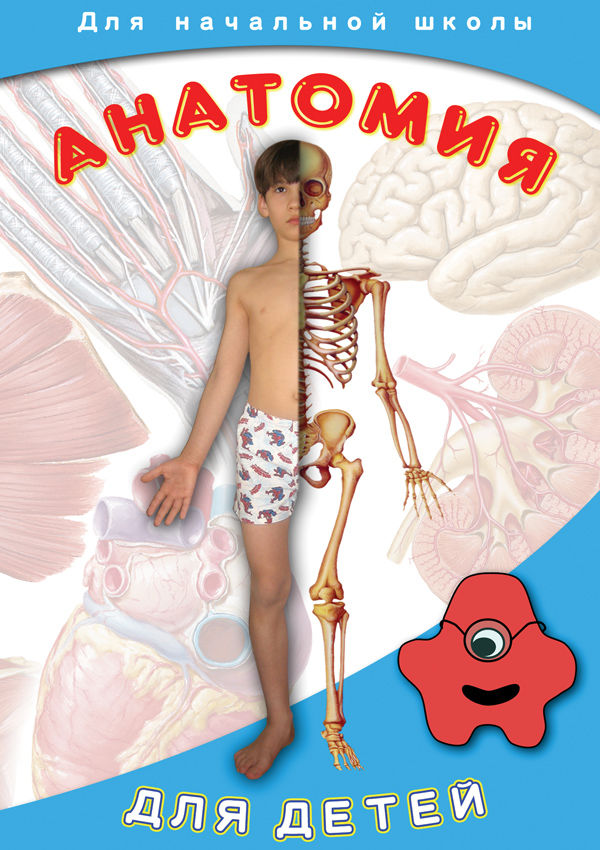 Учебный фильм "Анатомия для детей" (DVD-диск)