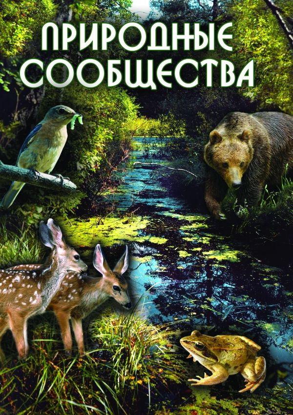 Учебный фильм "Природные сообщества" (DVD-диск)